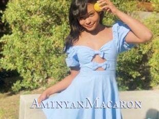 AminyanMacaron