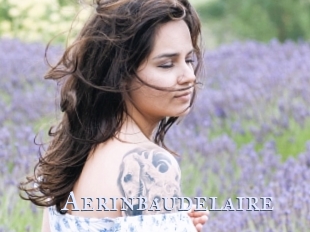 Aerinbaudelaire