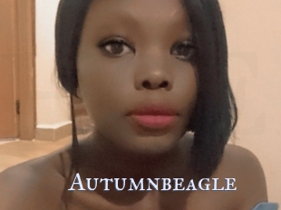 Autumnbeagle