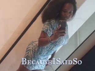 BecauseISaidSo