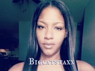 Bigcatstaxx