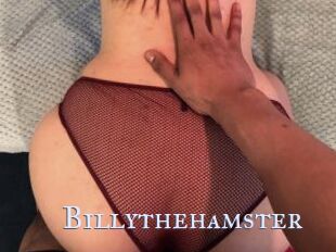 Billythehamster