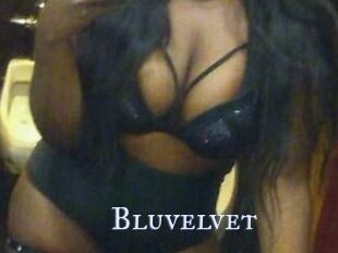 Bluvelvet