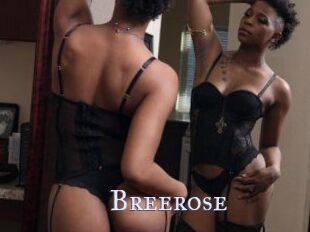 Breerose