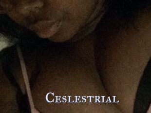 Ceslestrial