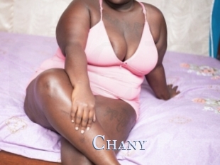 Chany