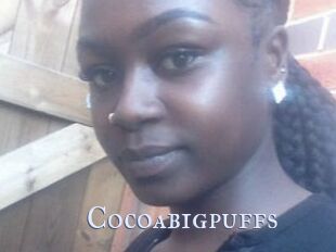 Cocoabigpuffs