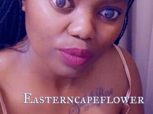 Easterncapeflower