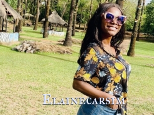 Elainecarsim
