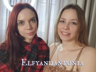 Elfyandantonia