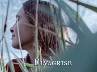Elvagrise