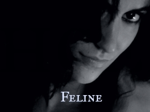 Feline
