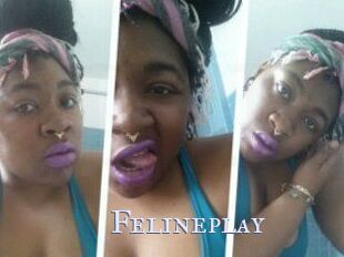 Felineplay