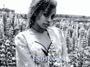 Indigo_22