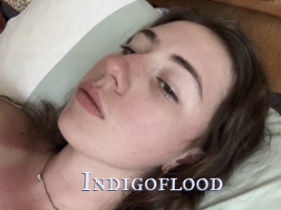 Indigoflood