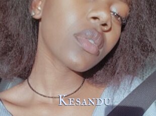 Kesandu
