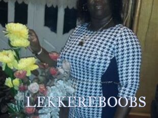 LEKKEREBOOBS