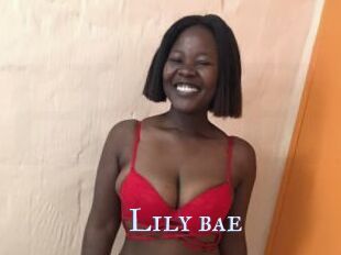 Lily_bae