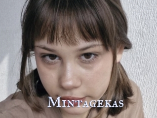 Mintagekas