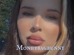 Moneybagbunny
