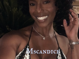 Mscandice