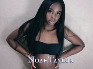 NoahTaylor