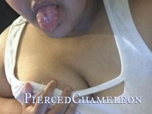 PiercedChameleon