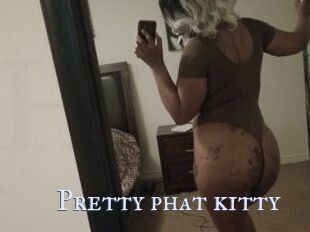 Pretty_phat_kitty