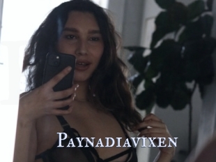 Paynadiavixen