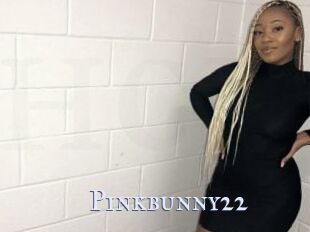 Pinkbunny22