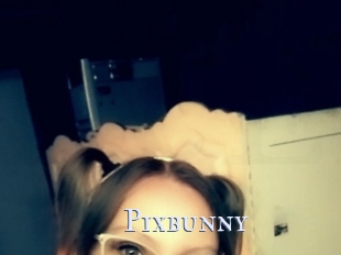 Pixbunny