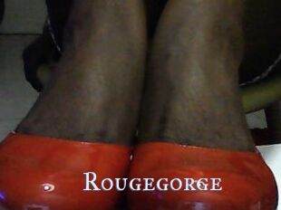 Rougegorge