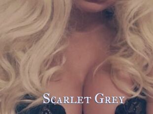 Scarlet_Grey
