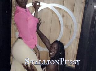 StallionPussy