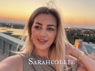 Sarahcollie
