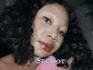 Secypot
