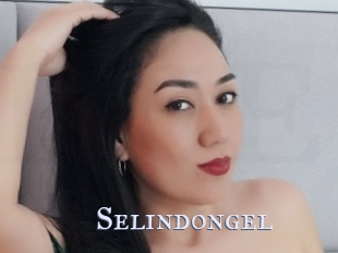 Selindongel