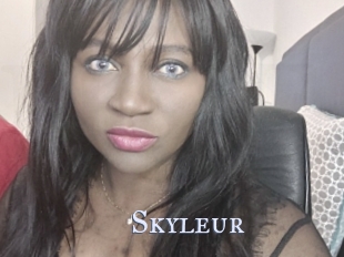 Skyleur