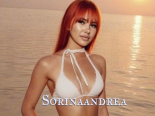 sorinaandrea Hardcore Ebony