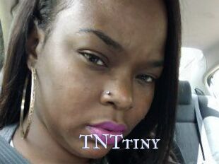 T_N_Ttiny