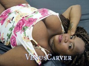 VenusCarver