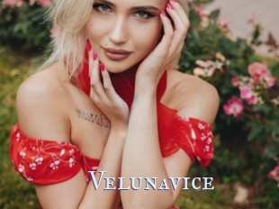 Velunavice