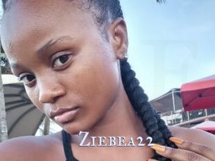 Ziebea22